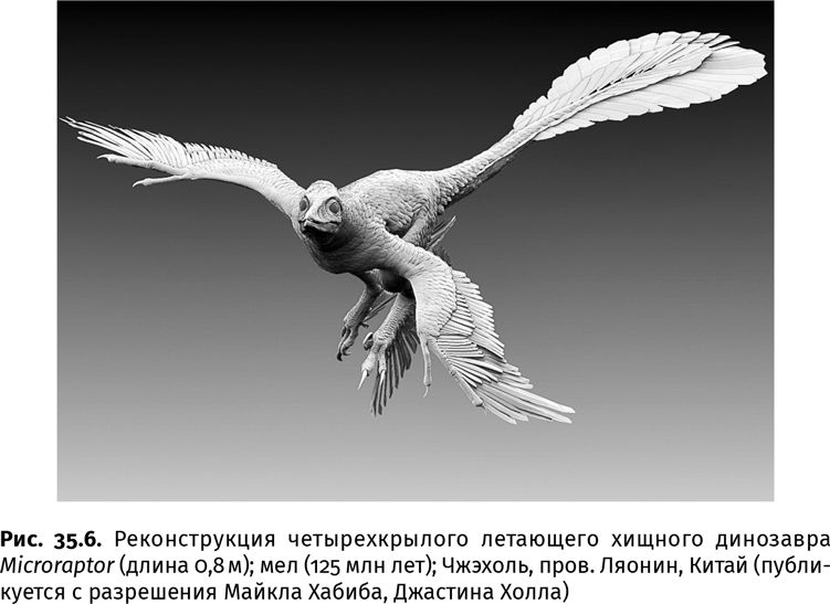 Иллюстрация к книге — Сотворение Земли. Как живые организмы создали наш мир [i_125.jpg]