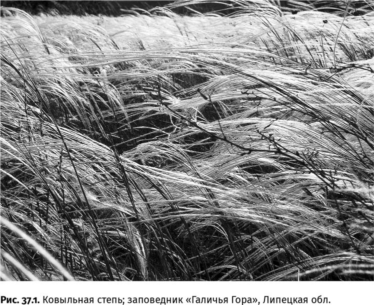 Иллюстрация к книге — Сотворение Земли. Как живые организмы создали наш мир [i_131.jpg]