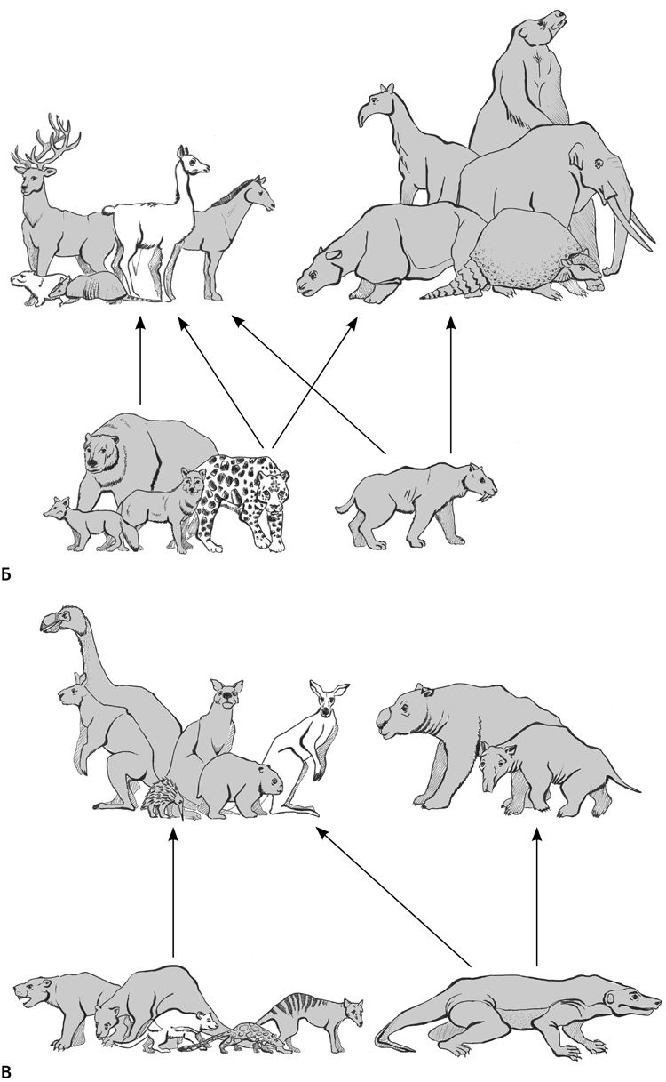 Иллюстрация к книге — Сотворение Земли. Как живые организмы создали наш мир [i_137.jpg]