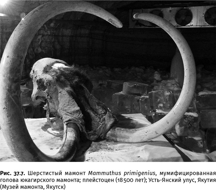 Иллюстрация к книге — Сотворение Земли. Как живые организмы создали наш мир [i_138.jpg]