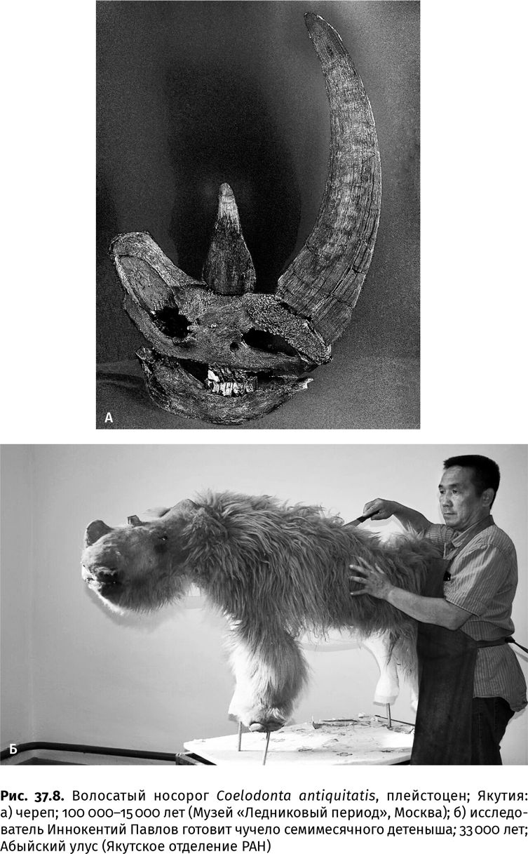 Иллюстрация к книге — Сотворение Земли. Как живые организмы создали наш мир [i_139.jpg]