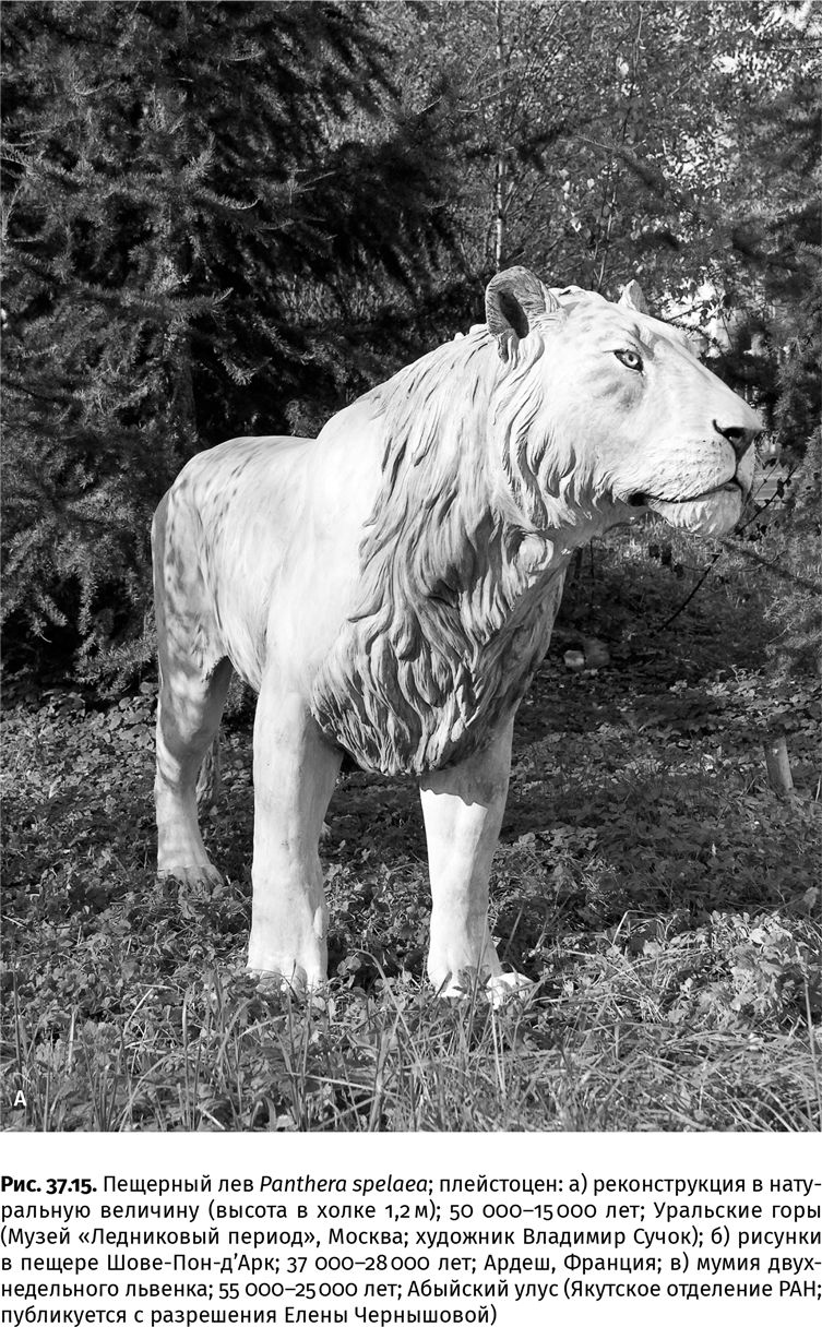 Иллюстрация к книге — Сотворение Земли. Как живые организмы создали наш мир [i_146.jpg]