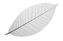 Иллюстрация к книге — Мудрость беспокойства. Как научиться слушать себя, когда сердце не на месте [i_005.jpg]