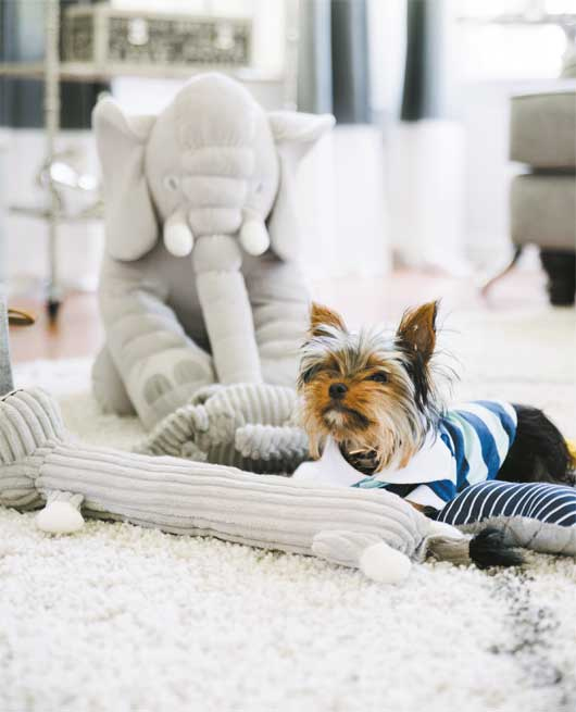 Иллюстрация к книге — Мой безупречный дом. Искусство организации пространства и создания стильного интерьера [i_114.jpg]