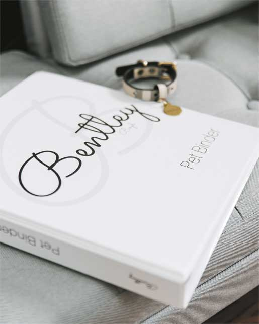 Иллюстрация к книге — Мой безупречный дом. Искусство организации пространства и создания стильного интерьера [i_118.jpg]