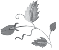 Иллюстрация к книге — Дева в саду [i_002.jpg]