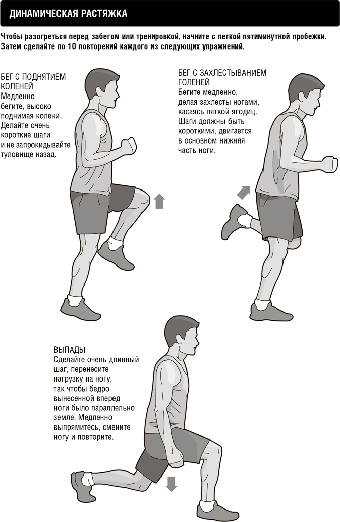 Иллюстрация к книге — Кардио или силовая? Какие нагрузки подходят именно вам [i_011.jpg]