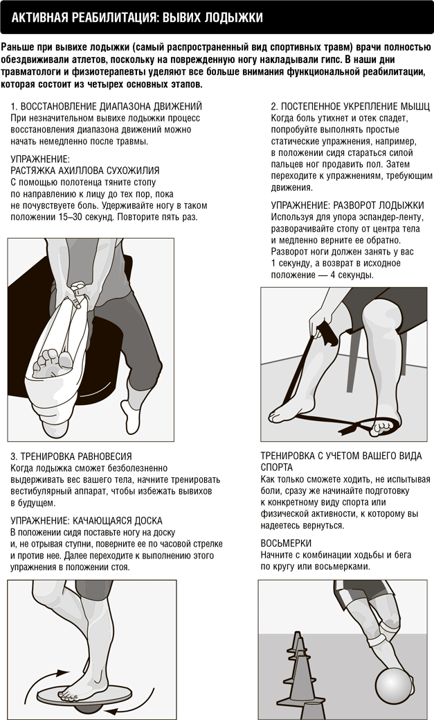 Иллюстрация к книге — Кардио или силовая? Какие нагрузки подходят именно вам [i_013.jpg]