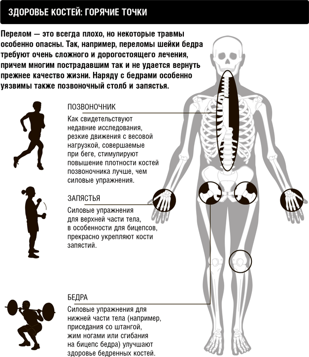Иллюстрация к книге — Кардио или силовая? Какие нагрузки подходят именно вам [i_016.jpg]
