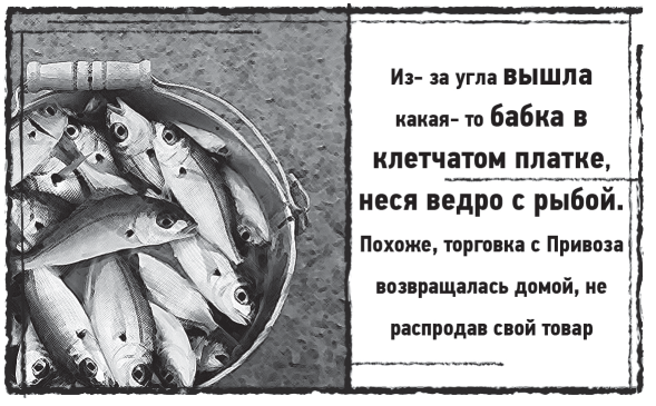 Иллюстрация к книге — Мыс Черных сов [i_027.jpg]