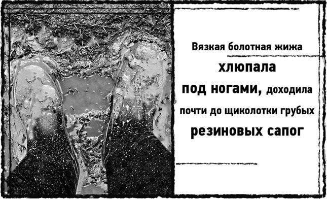 Иллюстрация к книге — Змей Сварога [i_001.jpg]