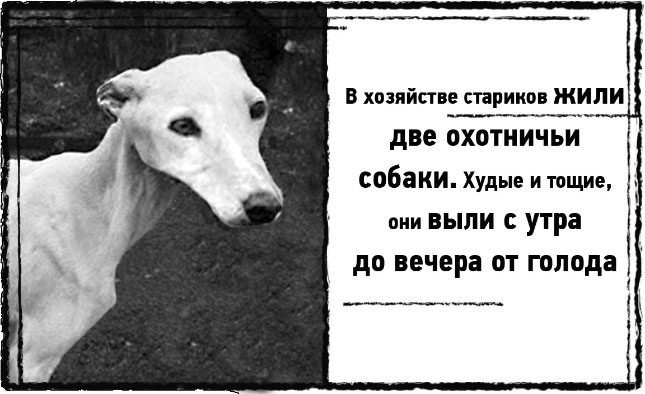 Иллюстрация к книге — Змей Сварога [i_004.jpg]