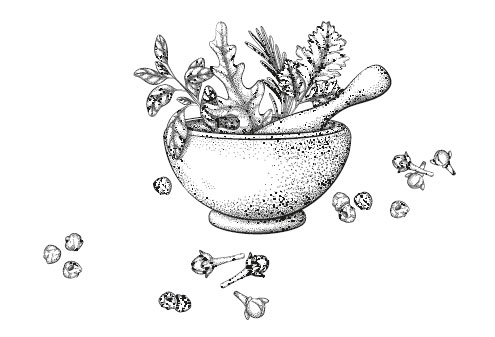 Иллюстрация к книге — Оживай! Мой путь к источнику силы. Уйти из офиса в лес, чтобы найти себя [i_003.jpg]