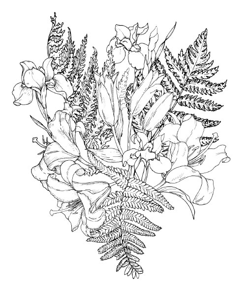 Иллюстрация к книге — Оживай! Мой путь к источнику силы. Уйти из офиса в лес, чтобы найти себя [i_007.jpg]