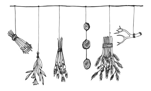 Иллюстрация к книге — Оживай! Мой путь к источнику силы. Уйти из офиса в лес, чтобы найти себя [i_008.jpg]