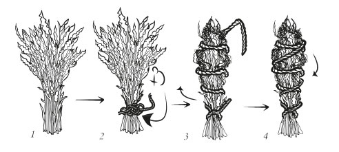 Иллюстрация к книге — Оживай! Мой путь к источнику силы. Уйти из офиса в лес, чтобы найти себя [i_010.jpg]