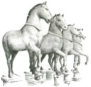 Иллюстрация к книге — Венеция. История города [i_014.jpg]