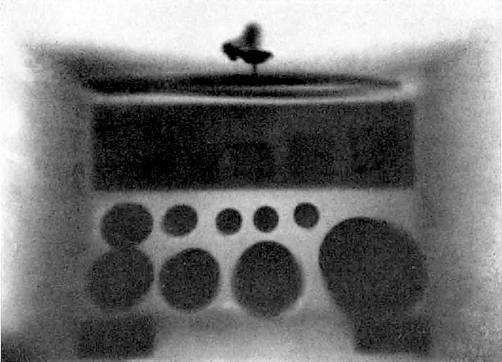 Иллюстрация к книге — Солнечное вещество и другие повести, а также Жизнь и судьба Матвея Бронштейна и Лидии Чуковской (сборник) [i_034.jpg]