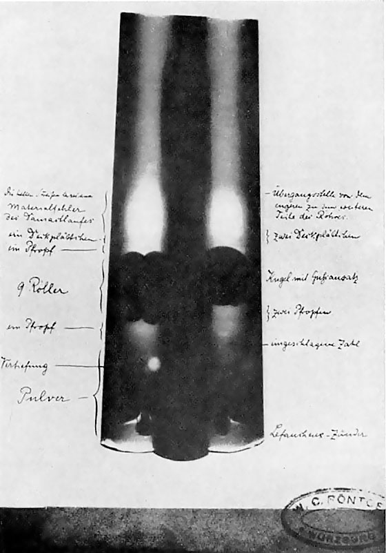 Иллюстрация к книге — Солнечное вещество и другие повести, а также Жизнь и судьба Матвея Бронштейна и Лидии Чуковской (сборник) [i_039.jpg]