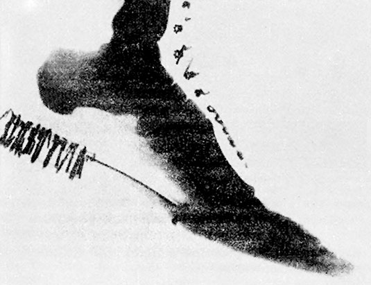 Иллюстрация к книге — Солнечное вещество и другие повести, а также Жизнь и судьба Матвея Бронштейна и Лидии Чуковской (сборник) [i_041.jpg]