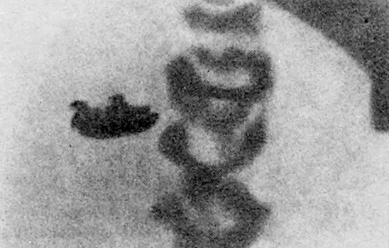 Иллюстрация к книге — Солнечное вещество и другие повести, а также Жизнь и судьба Матвея Бронштейна и Лидии Чуковской (сборник) [i_048.jpg]