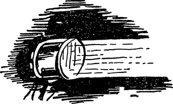 Иллюстрация к книге — Солнечное вещество и другие повести, а также Жизнь и судьба Матвея Бронштейна и Лидии Чуковской (сборник) [i_068.jpg]