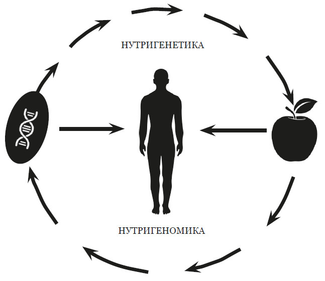 Иллюстрация к книге — Эпигенетика. Управляй своими генами [i_018.jpg]