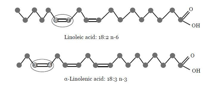 Иллюстрация к книге — Эпигенетика. Управляй своими генами [i_033.jpg]
