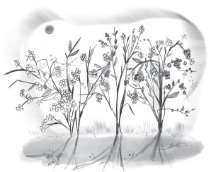 Иллюстрация к книге — Ава и Звезда [i_016.jpg]