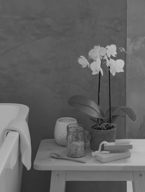 Иллюстрация к книге — Гормон – и с чем его едят. Рецепты женского здоровья [i_010.jpg]