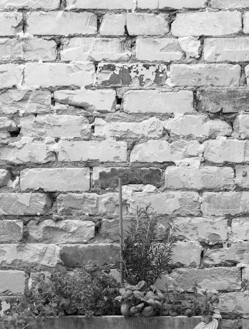 Иллюстрация к книге — Гормон – и с чем его едят. Рецепты женского здоровья [i_019.jpg]