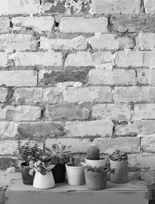 Иллюстрация к книге — Гормон – и с чем его едят. Рецепты женского здоровья [i_026.jpg]