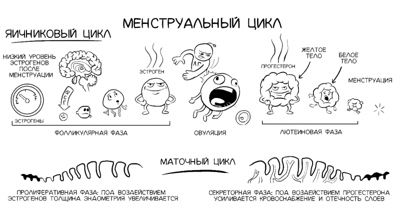 Иллюстрация к книге — Добрая книга для будущей мамы. Позитивное руководство для тех, кто хочет ребенка [i_006.jpg]