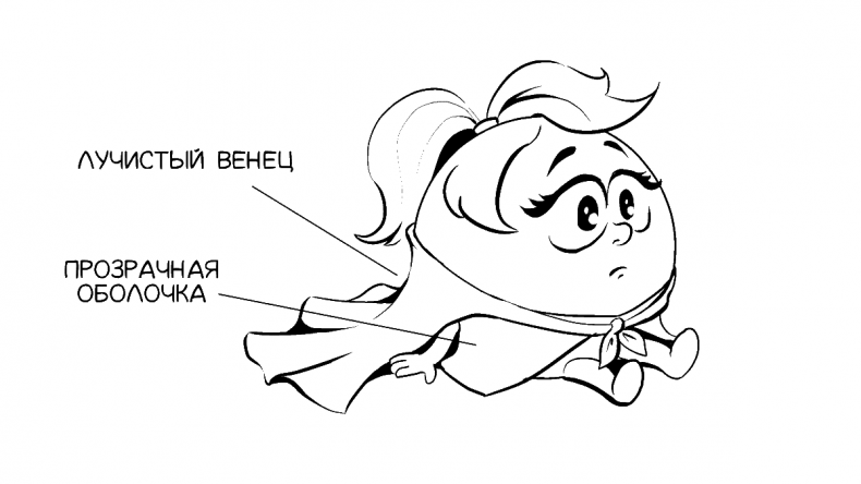 Иллюстрация к книге — Добрая книга для будущей мамы. Позитивное руководство для тех, кто хочет ребенка [i_009.jpg]