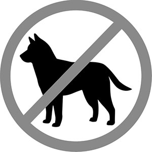 Иллюстрация к книге — Хорошие собаки до Южного полюса не добираются [i_004.jpg]