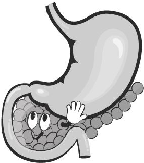 Иллюстрация к книге — Тело знает лучше. Методика интуитивного питания для комфортного веса [i_015.jpg]