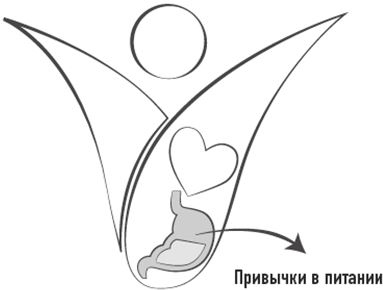 Иллюстрация к книге — Тело знает лучше. Методика интуитивного питания для комфортного веса [i_023.jpg]