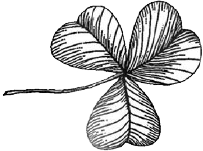 Иллюстрация к книге — Опасное наследство [i_007.jpg]