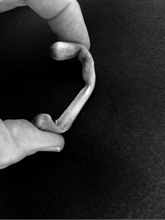 Иллюстрация к книге — Кости: внутри и снаружи [i_002.jpg]