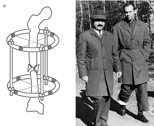 Иллюстрация к книге — Кости: внутри и снаружи [i_030.jpg]