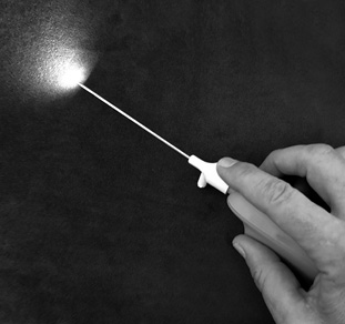 Иллюстрация к книге — Кости: внутри и снаружи [i_031.jpg]