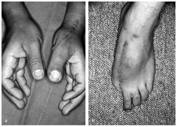 Иллюстрация к книге — Кости: внутри и снаружи [i_036.jpg]