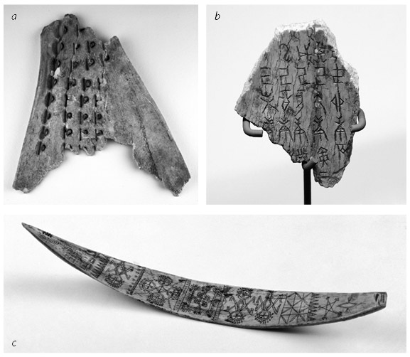 Иллюстрация к книге — Кости: внутри и снаружи [i_050.jpg]