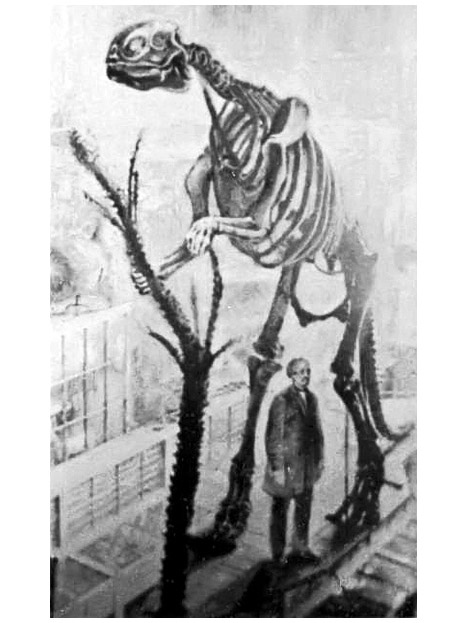 Иллюстрация к книге — Кости: внутри и снаружи [i_056.jpg]