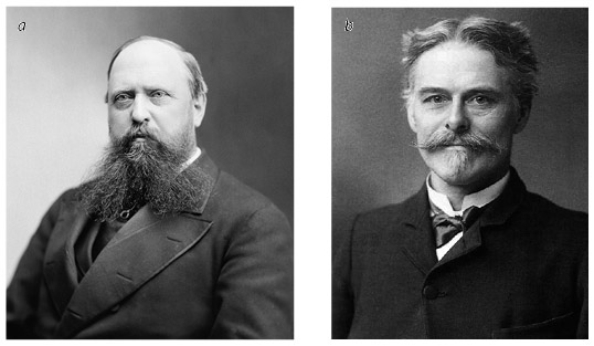 Иллюстрация к книге — Кости: внутри и снаружи [i_057.jpg]