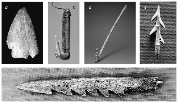 Иллюстрация к книге — Кости: внутри и снаружи [i_066.jpg]
