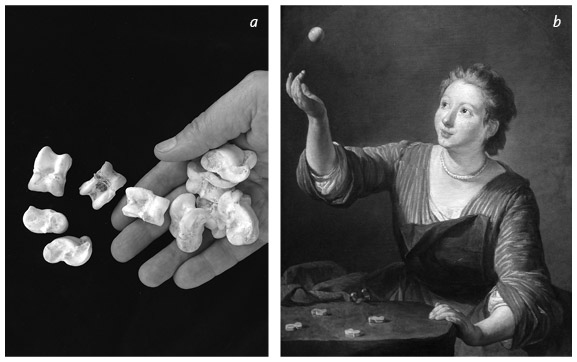 Иллюстрация к книге — Кости: внутри и снаружи [i_075.jpg]