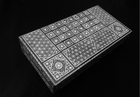 Иллюстрация к книге — Кости: внутри и снаружи [i_083.jpg]