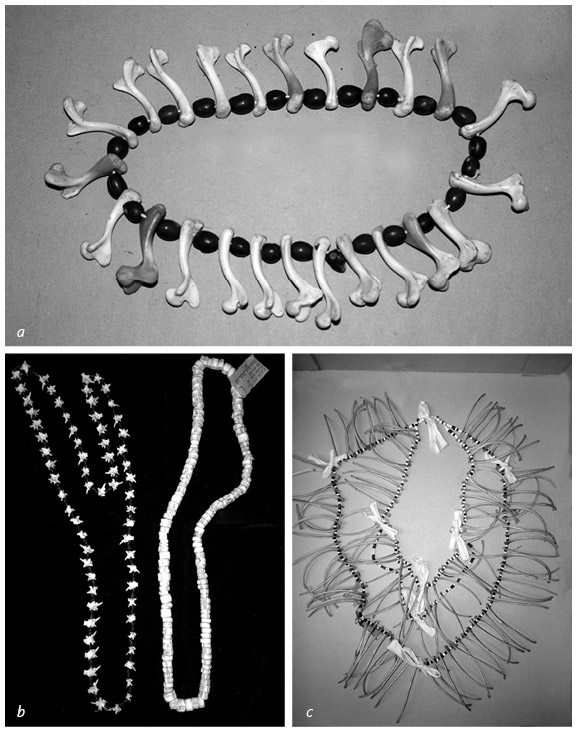 Иллюстрация к книге — Кости: внутри и снаружи [i_084.jpg]