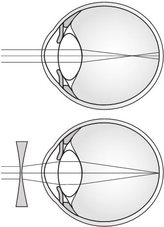 Иллюстрация к книге — История очков, или Вооруженный взгляд [i_004.jpg]